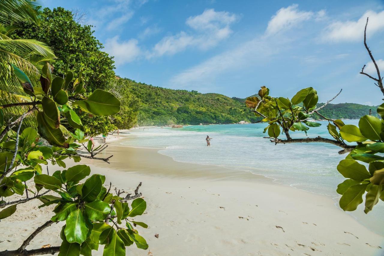 Lou Lou Bungalow Grand Anse  Ngoại thất bức ảnh