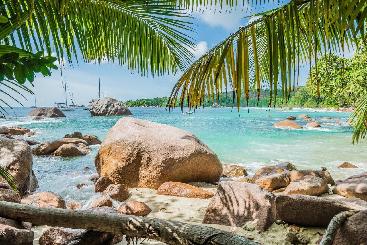 Lou Lou Bungalow Grand Anse  Ngoại thất bức ảnh