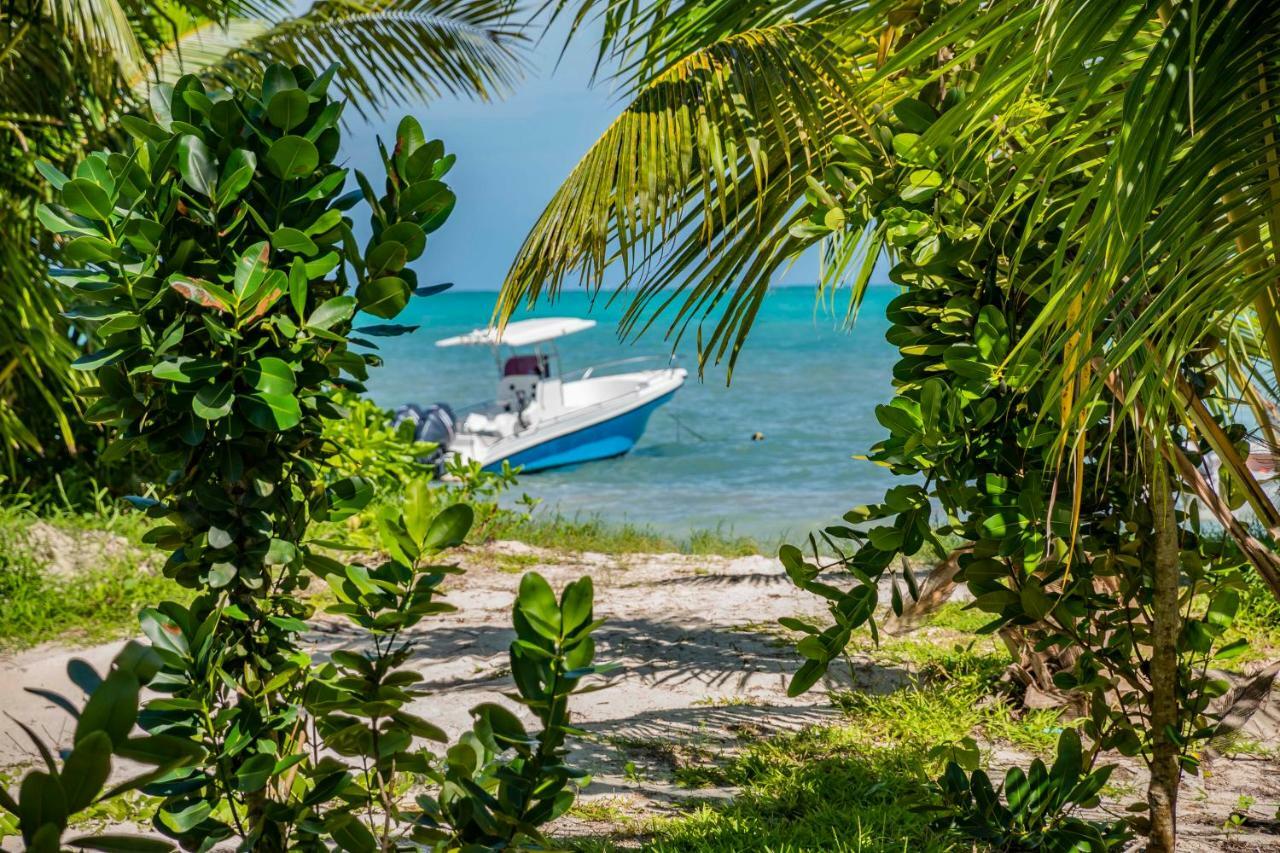 Lou Lou Bungalow Grand Anse  Ngoại thất bức ảnh