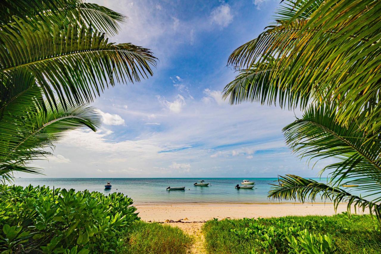 Lou Lou Bungalow Grand Anse  Ngoại thất bức ảnh