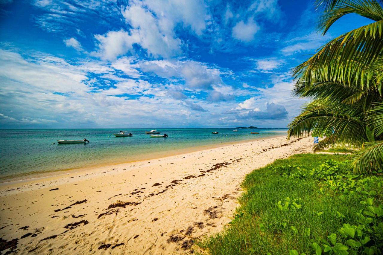 Lou Lou Bungalow Grand Anse  Ngoại thất bức ảnh